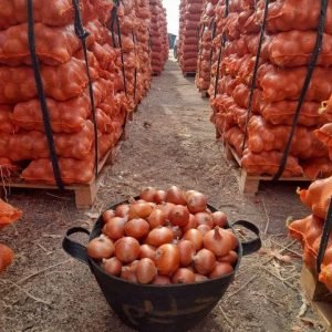Onions