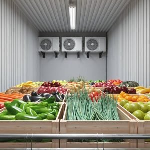 Vegetable