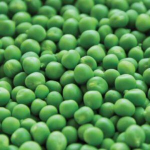 Frozen Vegetables